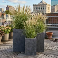A staggered set of three charcoal black tall rectangular GFRC planters containing pencil cactus, elegantly positioned in a luxury hotel lounge interior with wood paneling and brass accents